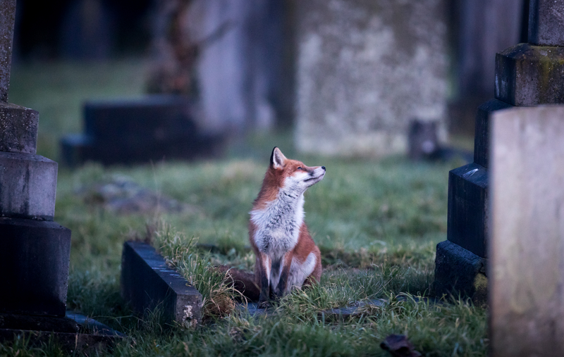 (Photo: Matt Cardy/Getty Images)